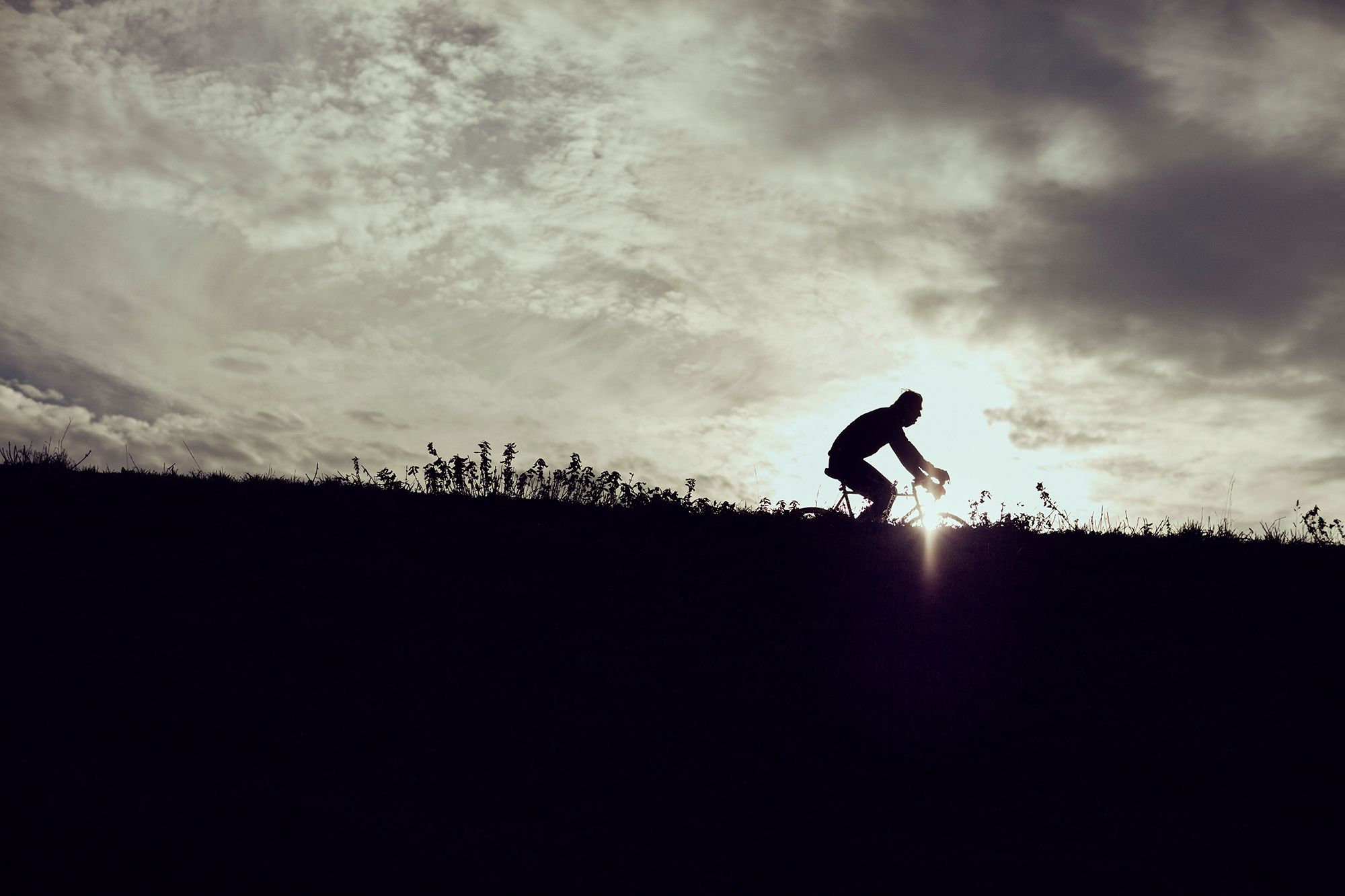 Albert riding in silhouette along the crest of a dike