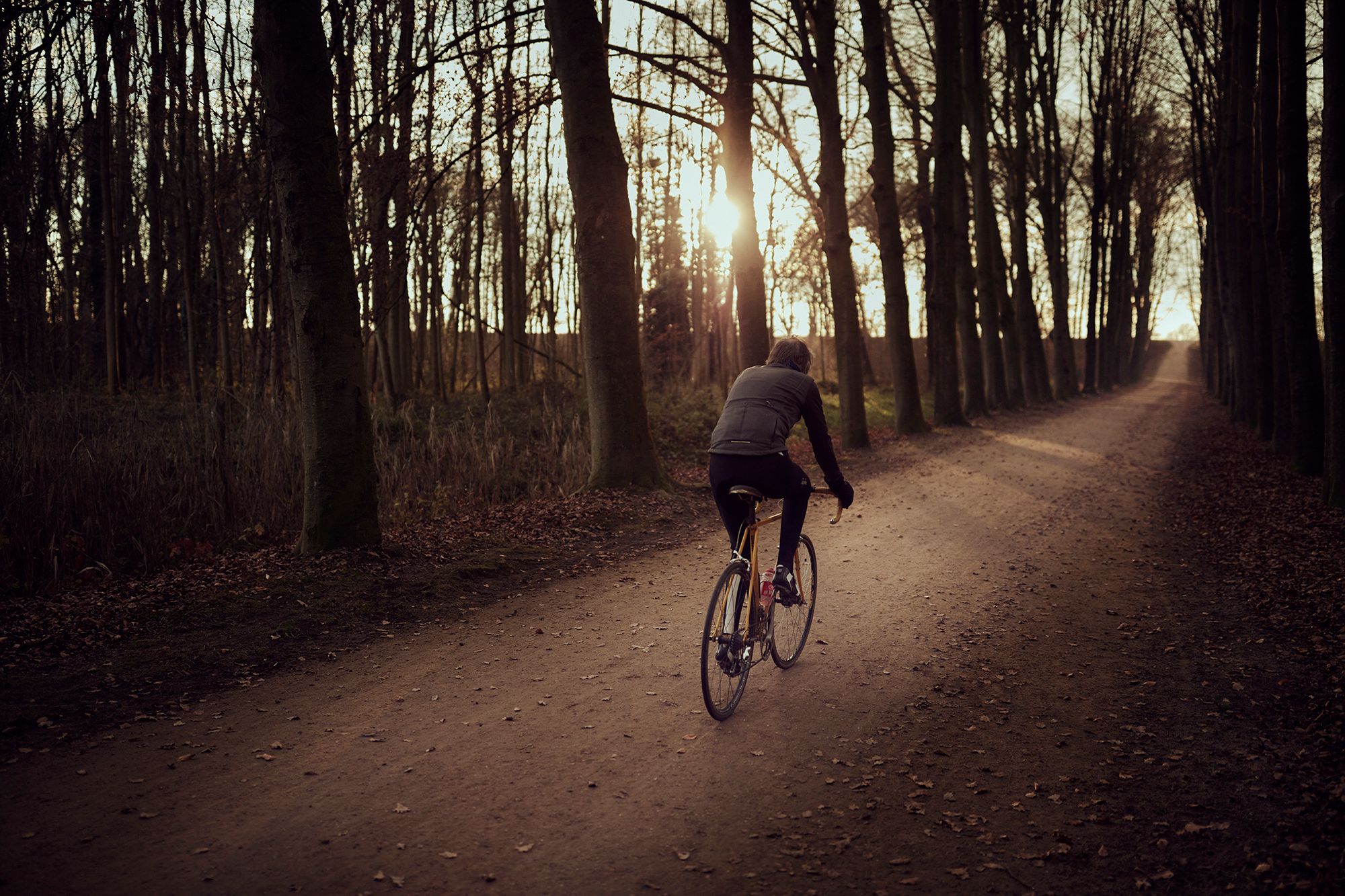 Albert cycling away through a sunlit wood