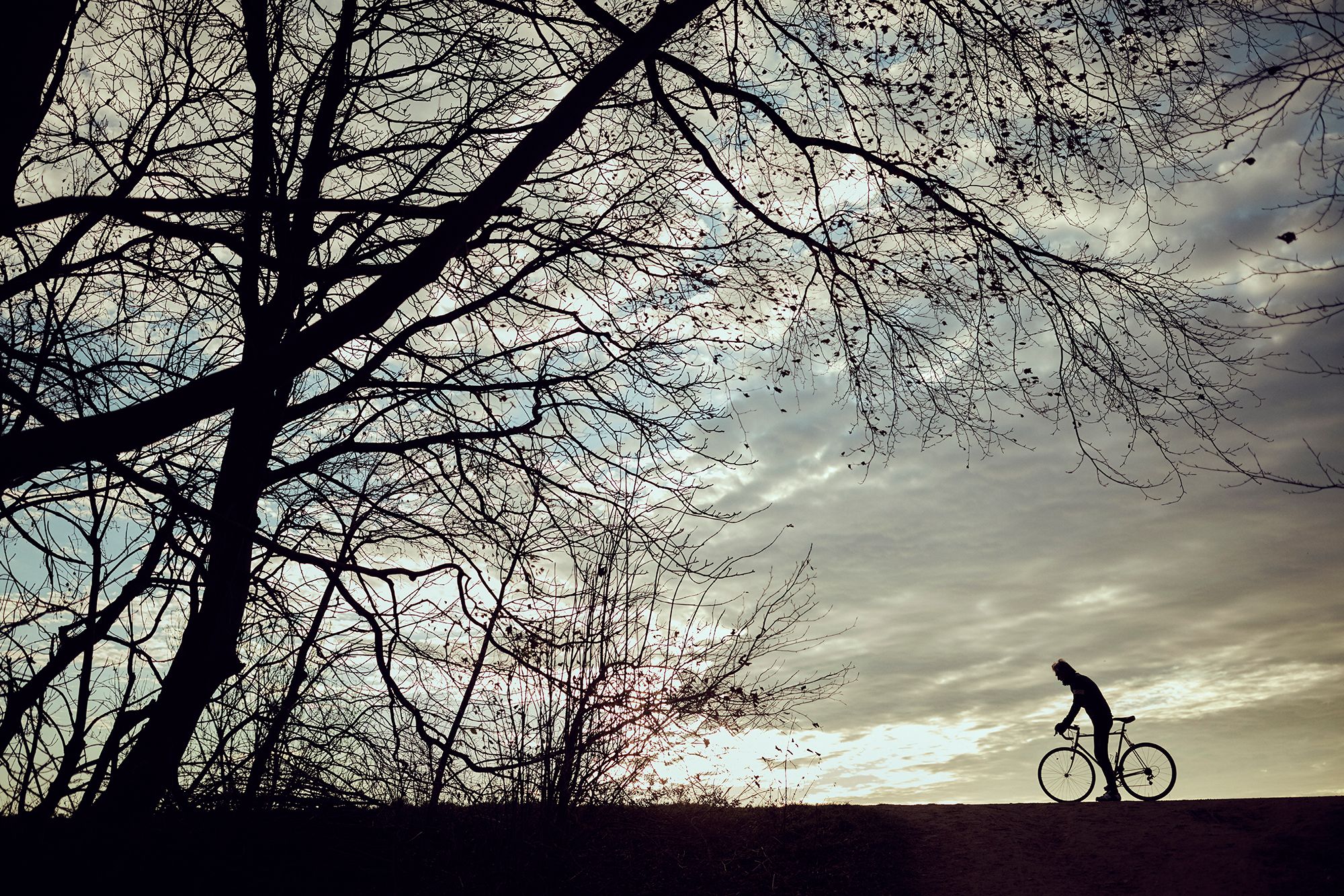 Albert and his bicycle silhouetted beneath bare branches