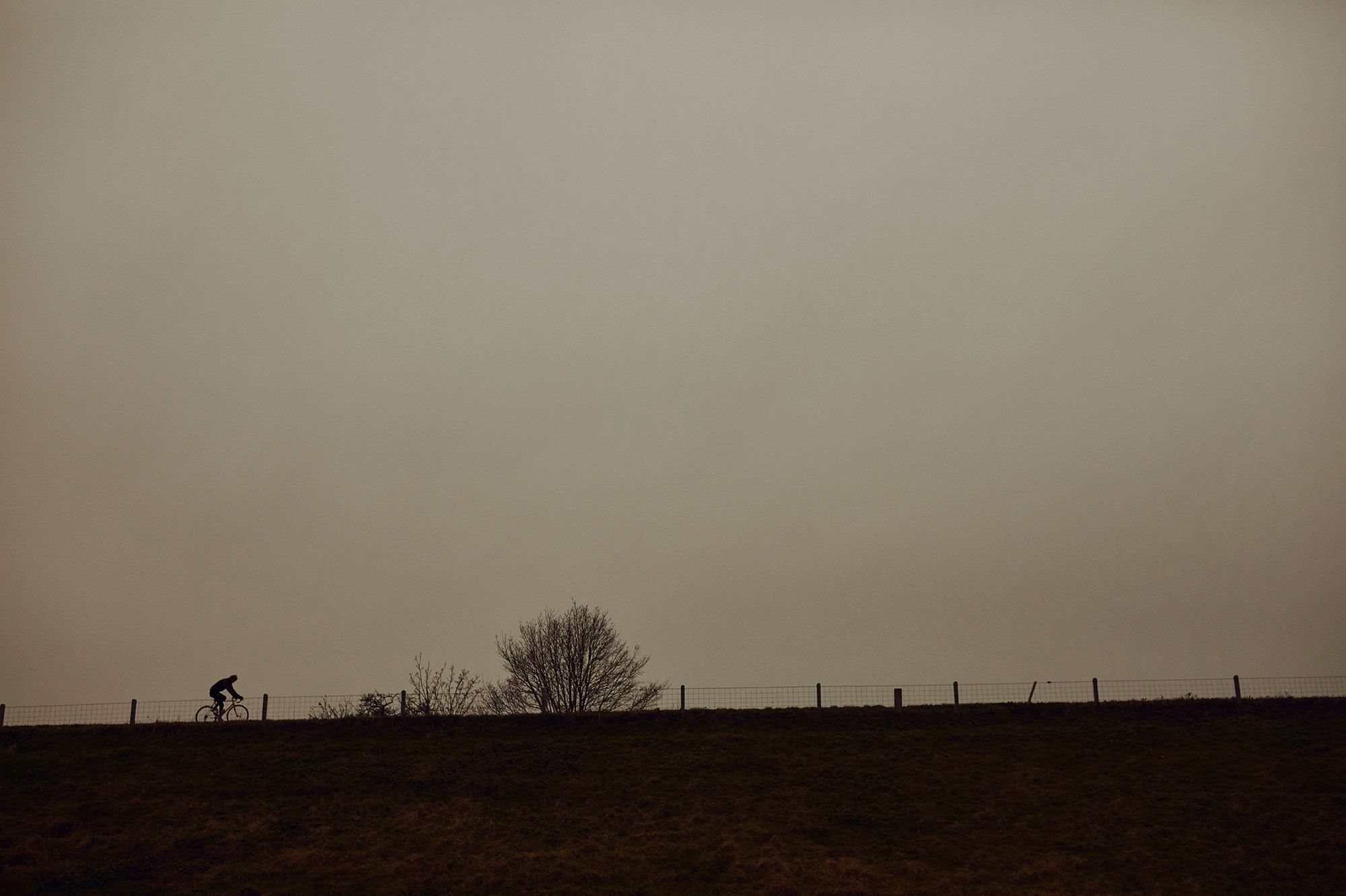 A distant view of Albert cycling along a dike