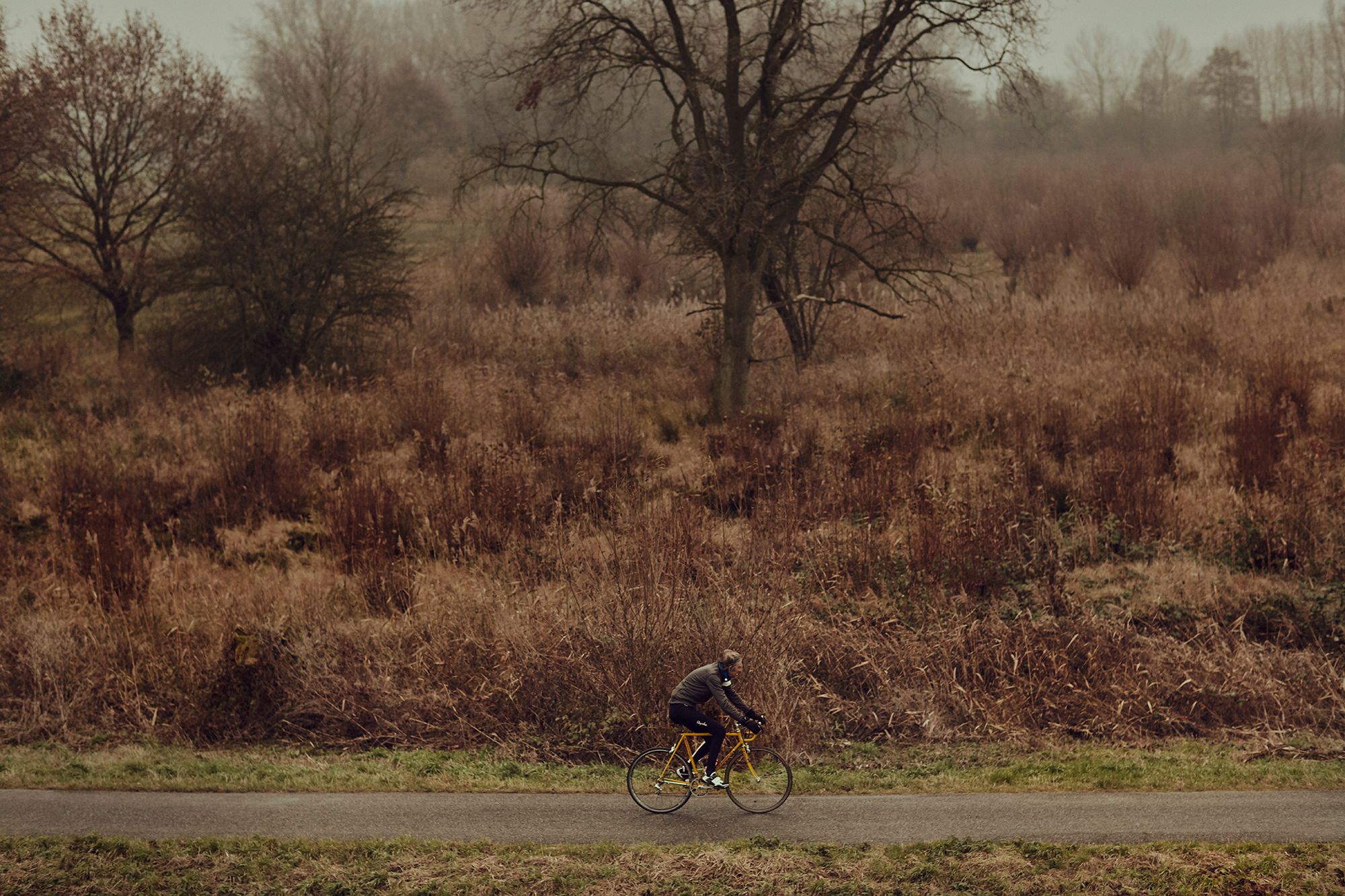 Albert riding below a broad winter landscape