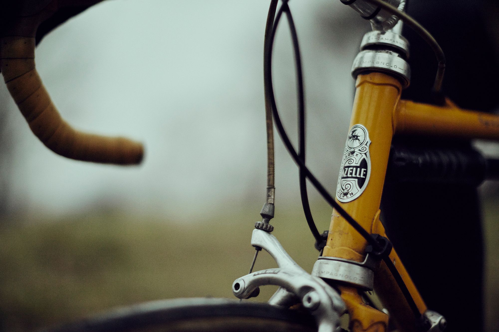 The head badge and front brake of Albert’s yellow Gazelle