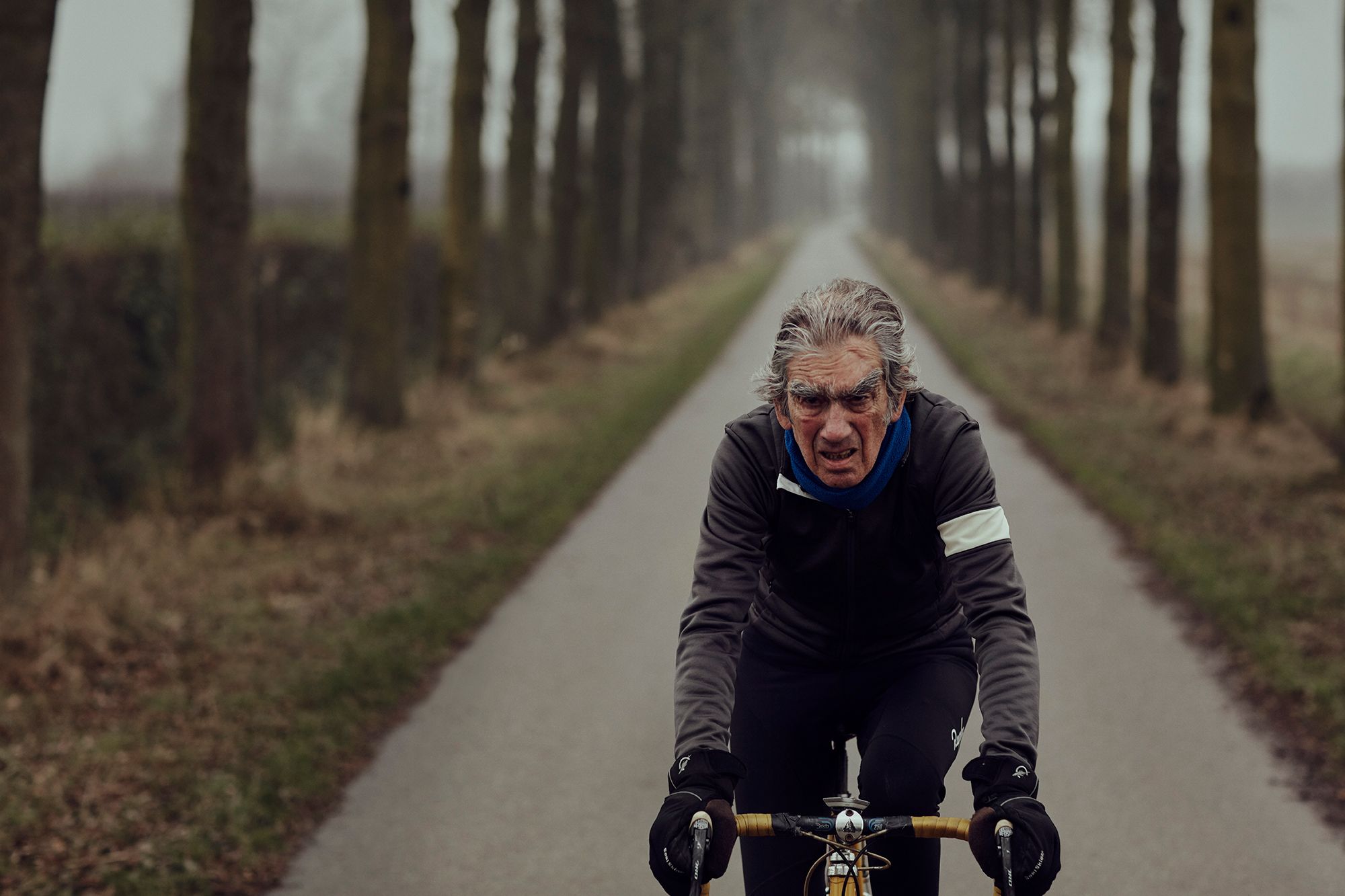 Albert riding towards the camera beneath a line of trees
