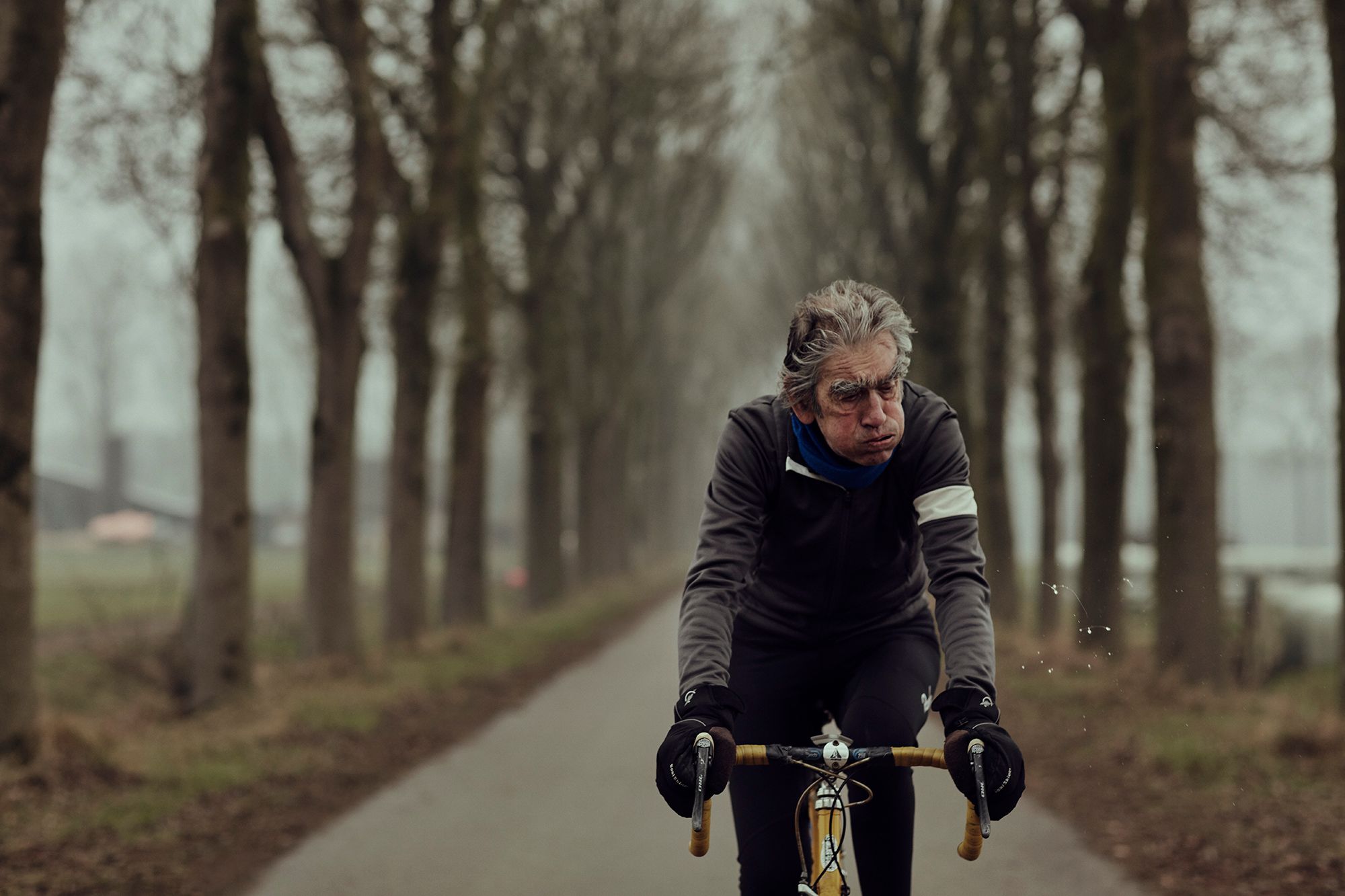 Albert riding through a straight avenue of trees