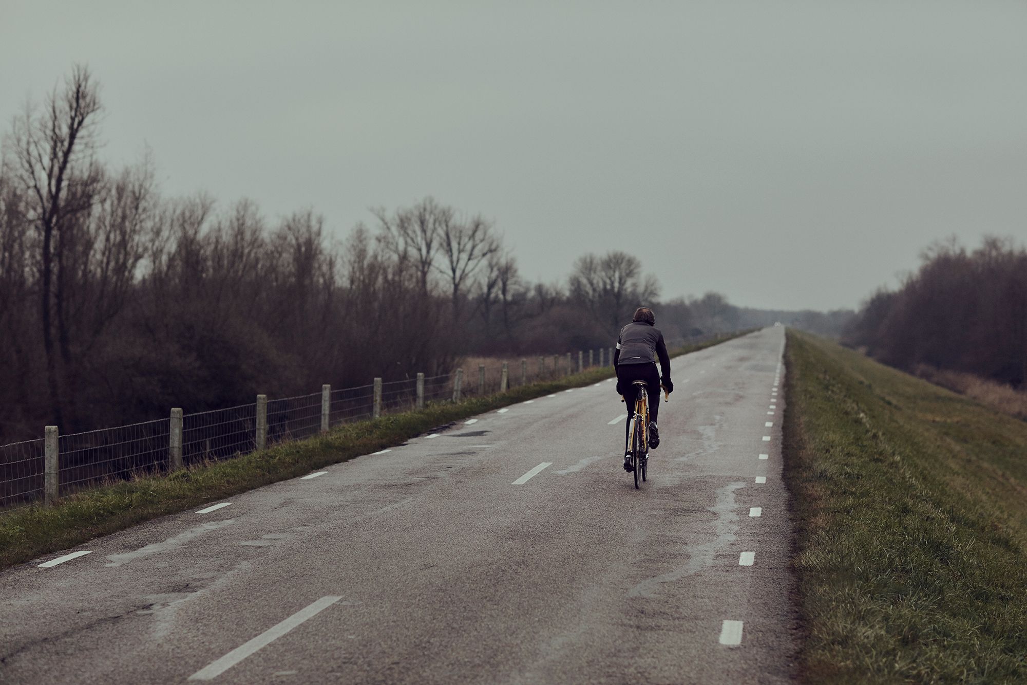 Albert riding away along an open road