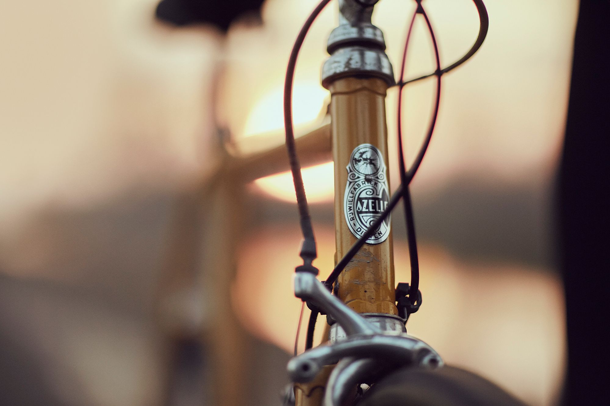 The head badge and front brake of Albert’s yellow Gazelle