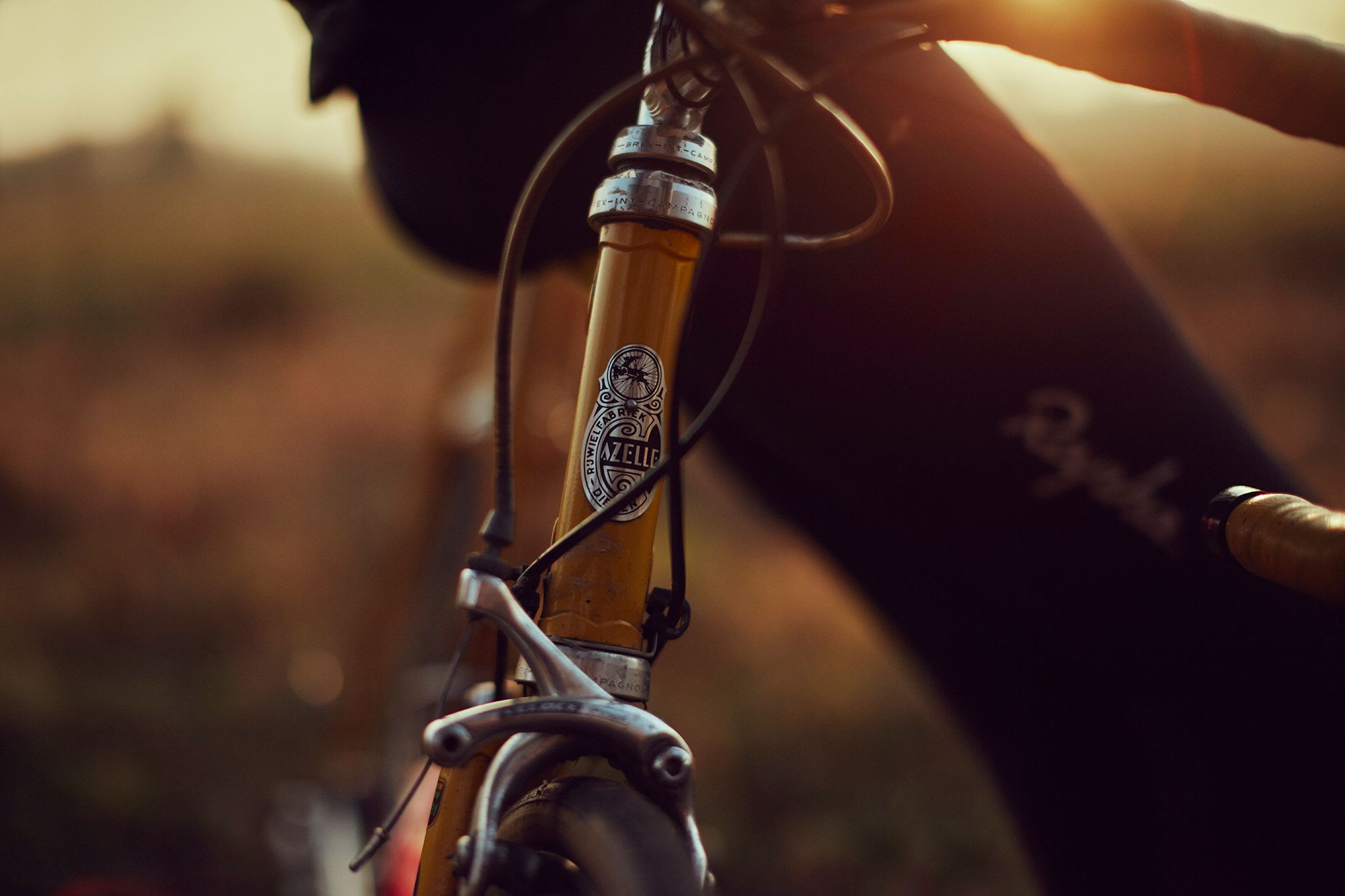 The Gazelle head badge in late sunlight
