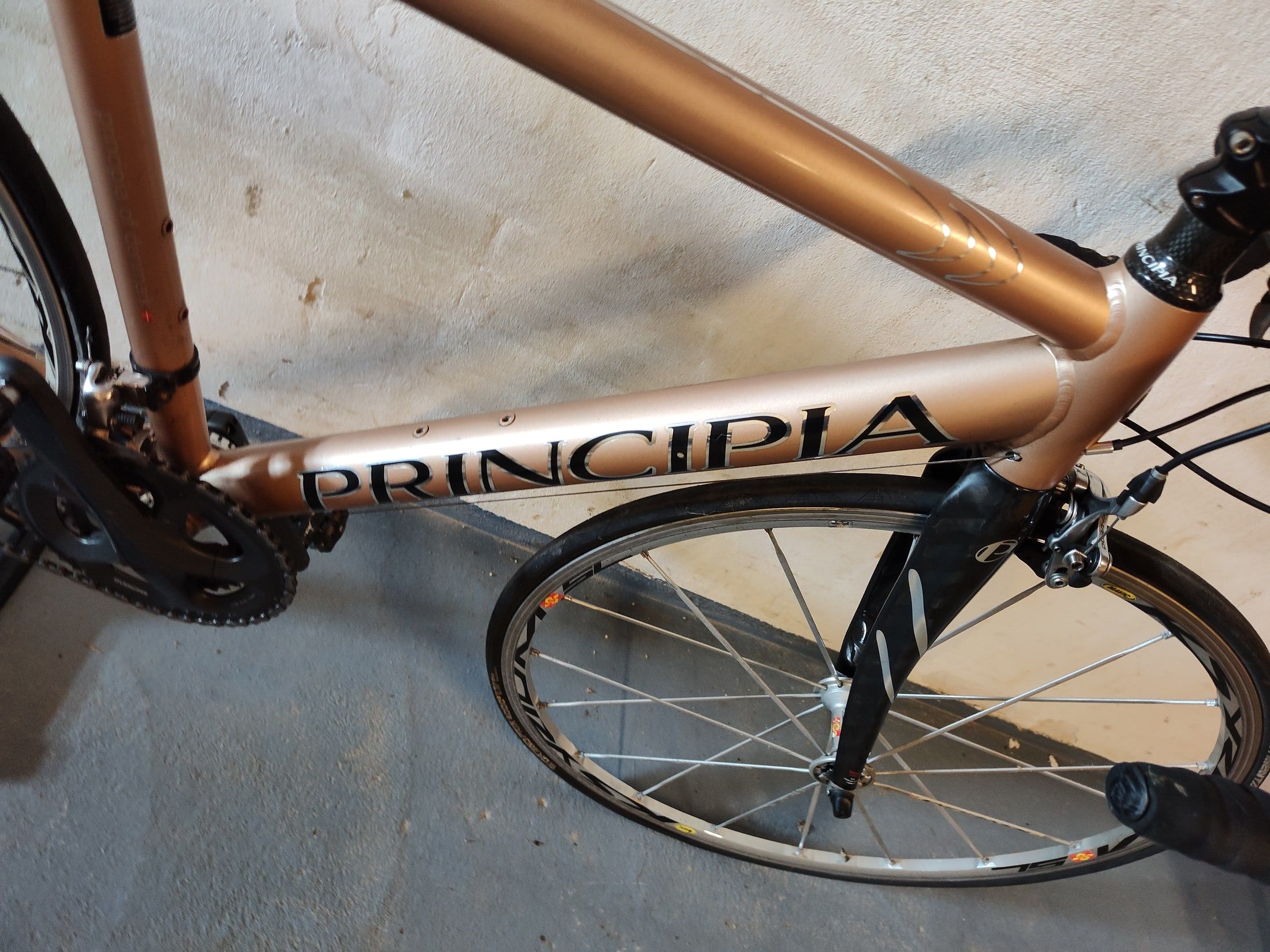 Large shaped down tube of the Principia Evolution