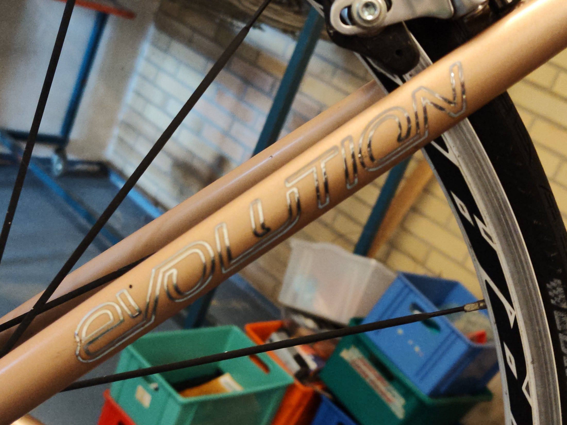 Evolution model lettering on the rear triangle