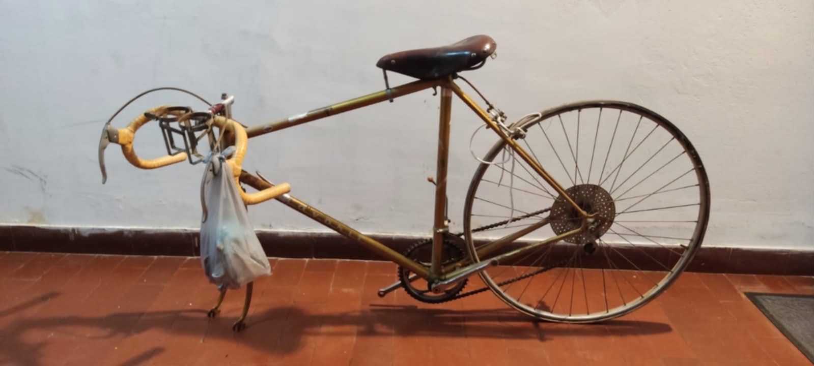The dusty gold Favorit racing bicycle before restoration