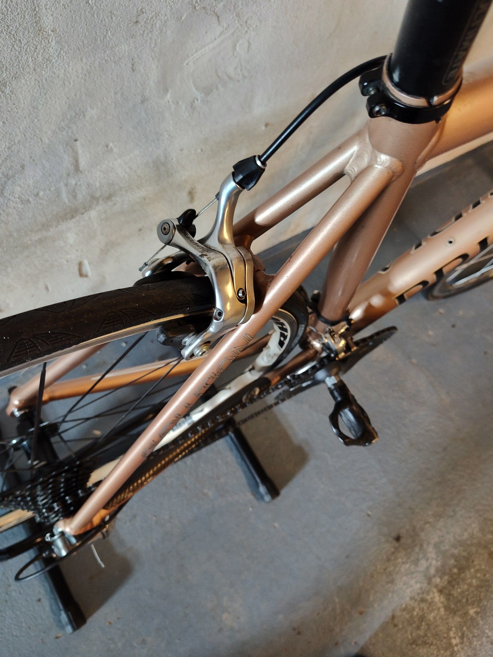 Brake bridge and rear brake on the Principia Evolution