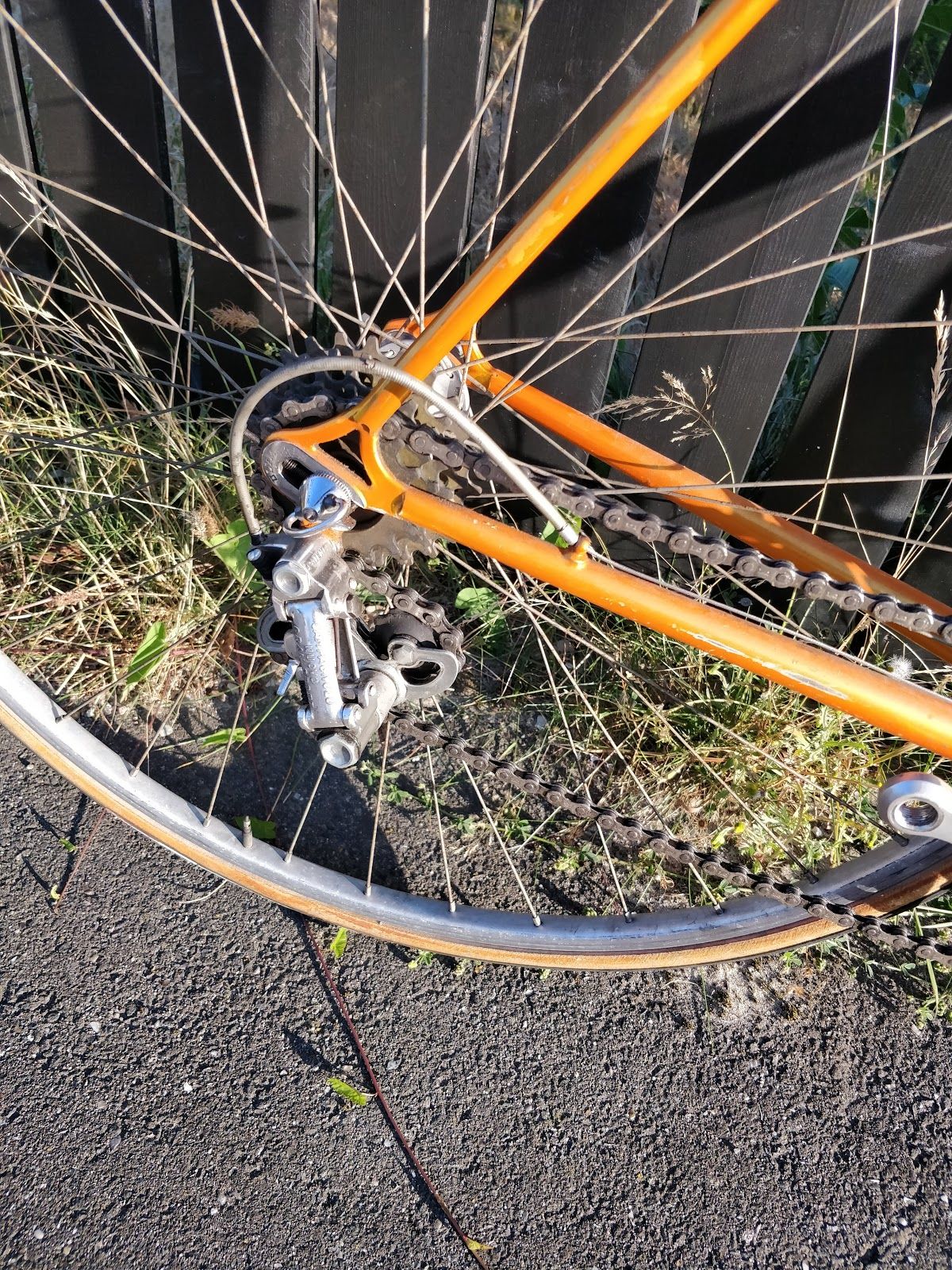 Campagnolo rear derailleur and freewheel on the Olympia