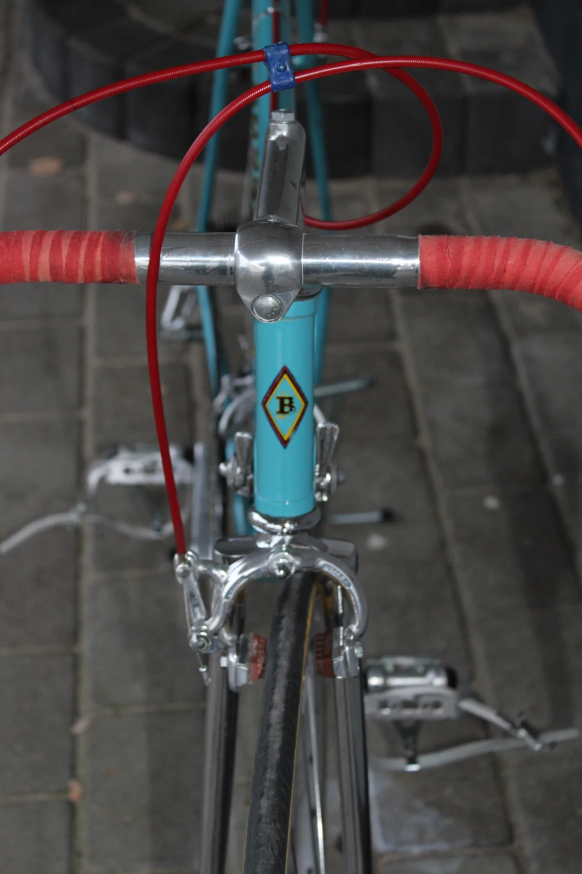 Bernardi head badge