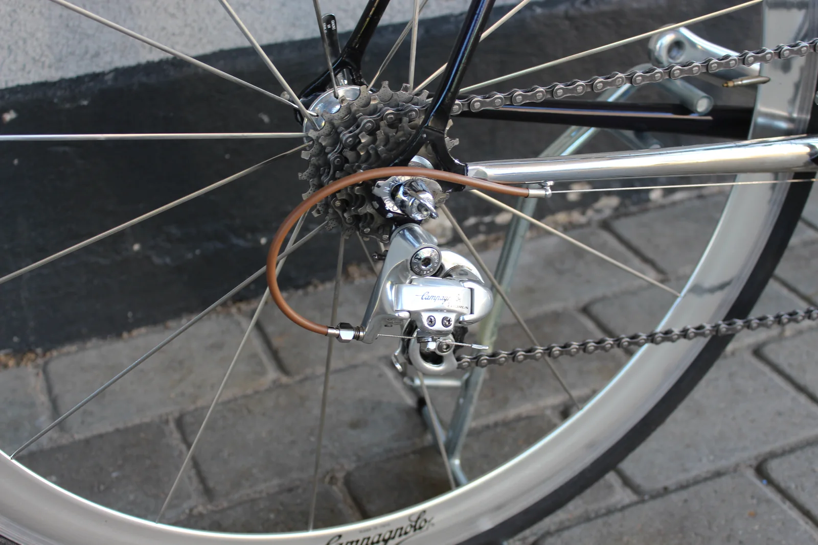 Campagnolo Chorus derailleur and Shamal wheel