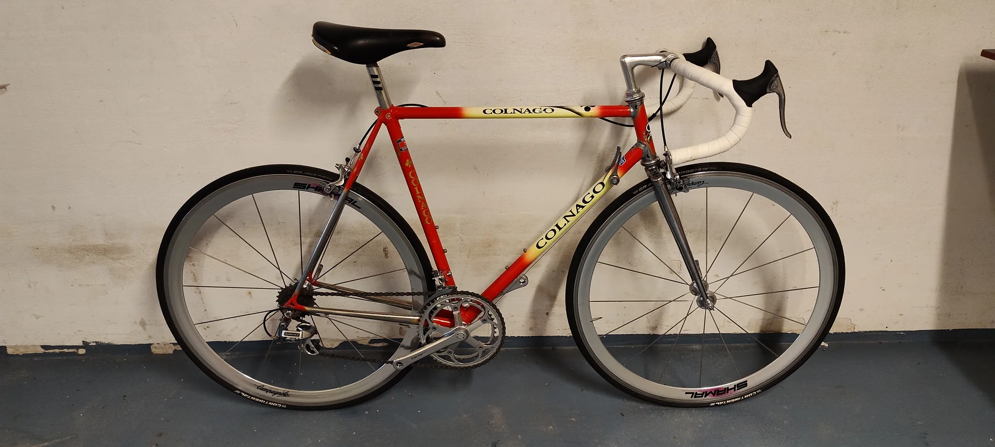 Colnago