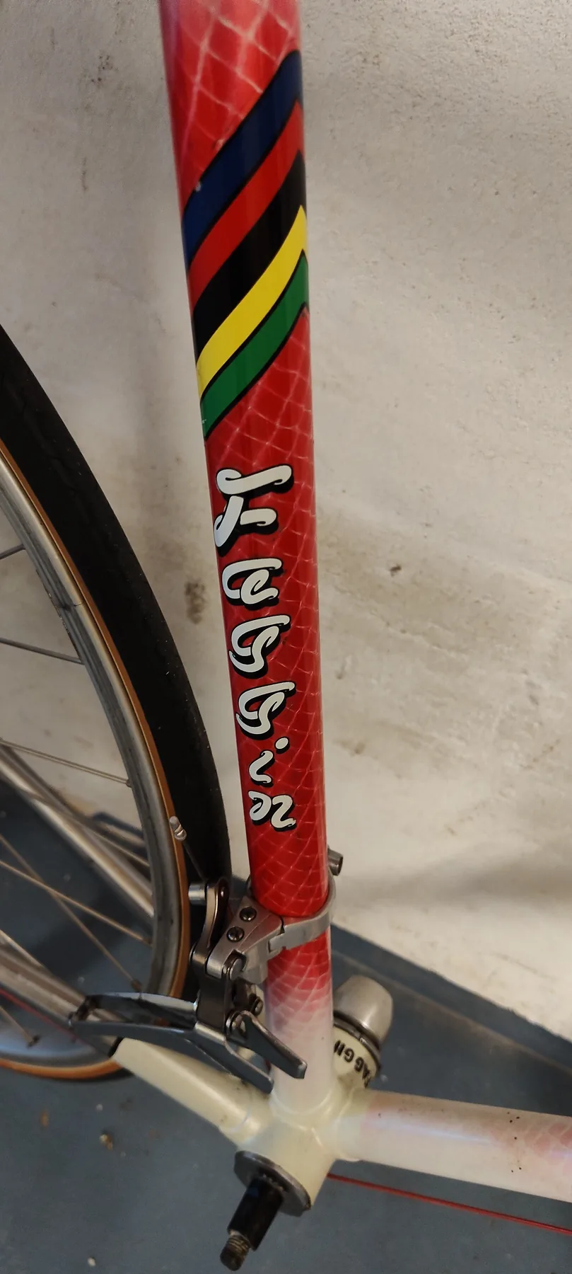Faggin name and coloured bands