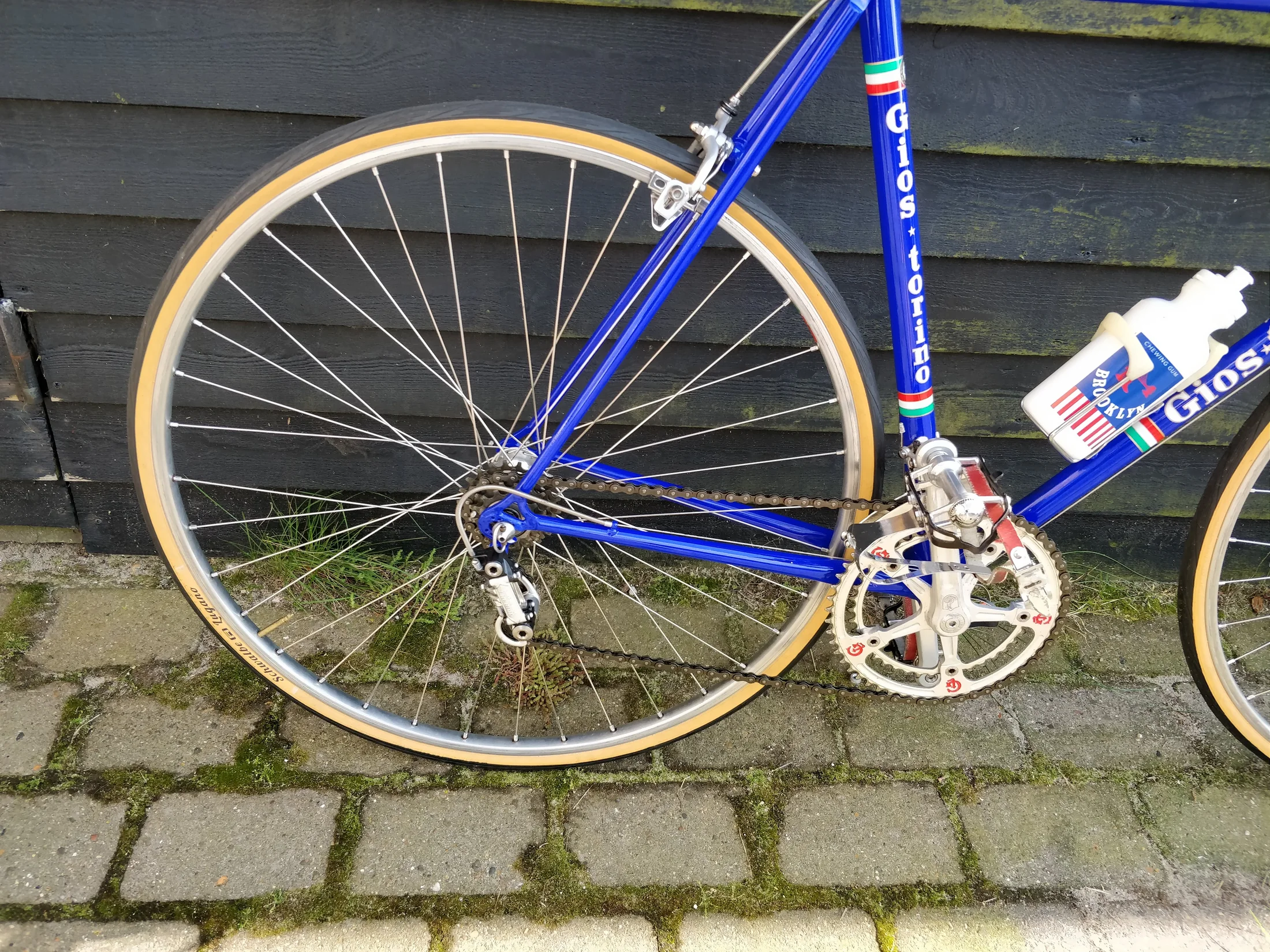 Campagnolo drivetrain