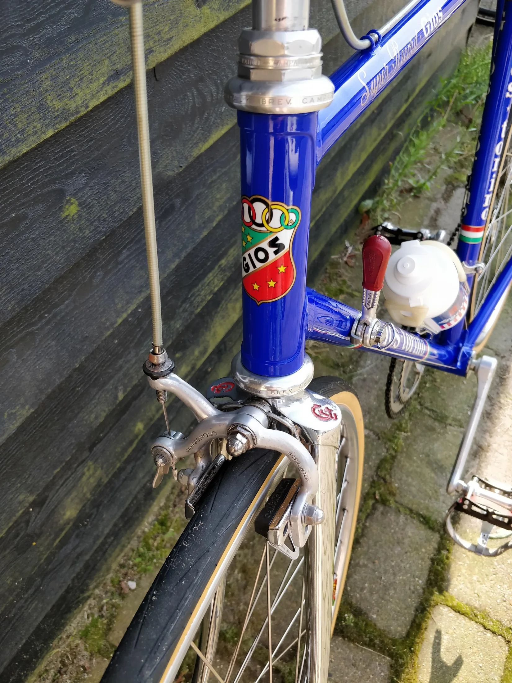 GIOS head badge and chrome fork crown