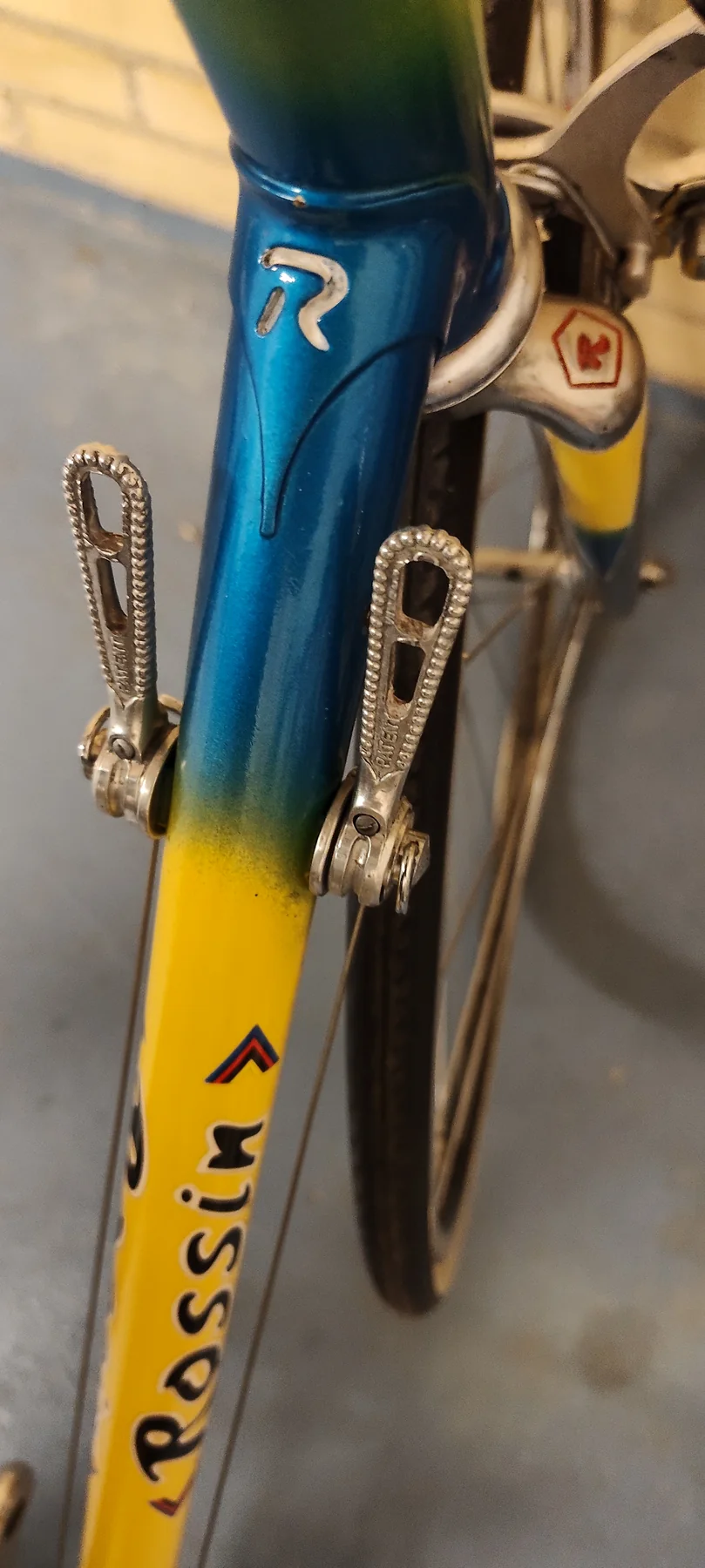 Campagnolo gear levers and Rossin detail on the down tube