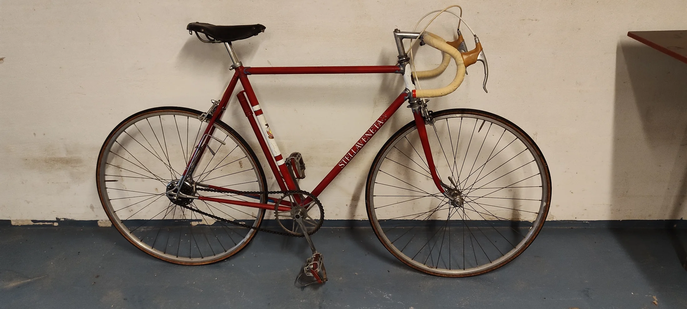 Stella Veneta with Cambio Corsa